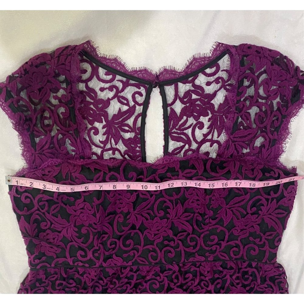 Adrianna Papell Mulberry Lace Sheath Dress Size 18w View 6